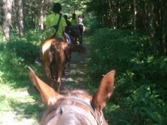 mini_120730_1417.jpg