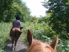 mini_120809_1135.jpg